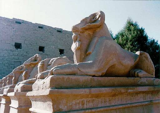 Karnak   Sphinxes